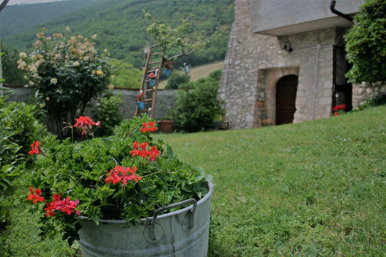 Agriturismo Tre Monti Meggiano Exterior foto